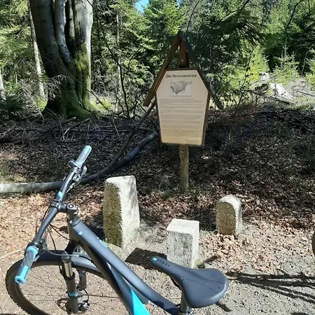 Rosemarie Vogtland Ferienhaus