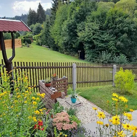 Rosemarie Vogtland Ferienhaus *