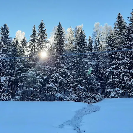 Ferienhaus Rosemarie Vogtland Erlbach (Saxony)
