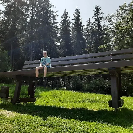Rosemarie Vogtland Holiday home Erlbach (Saxony)