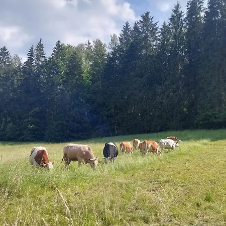 Rosemarie Vogtland Ferienhaus