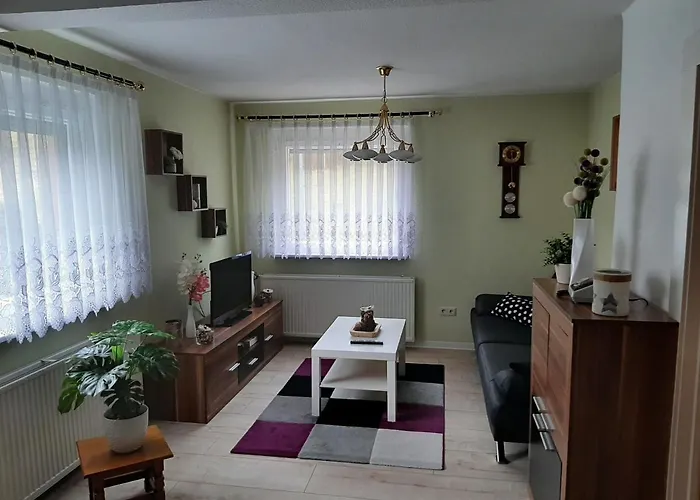 Rosemarie Vogtland Erlbach (Saxony)