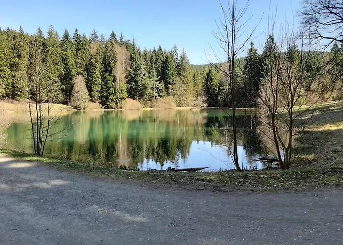 Rosemarie Vogtland Tatil Evi