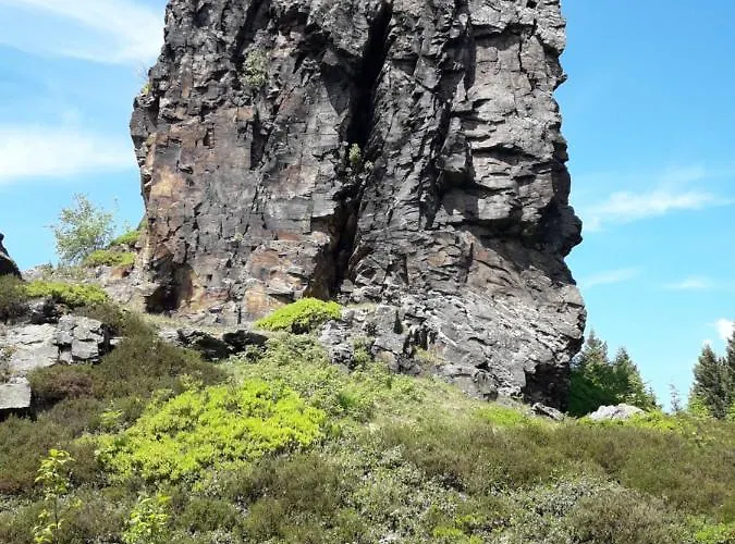 Tatil Evi Rosemarie Vogtland Erlbach (Saxony)