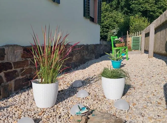 Rosemarie Vogtland Erlbach (Saxony)