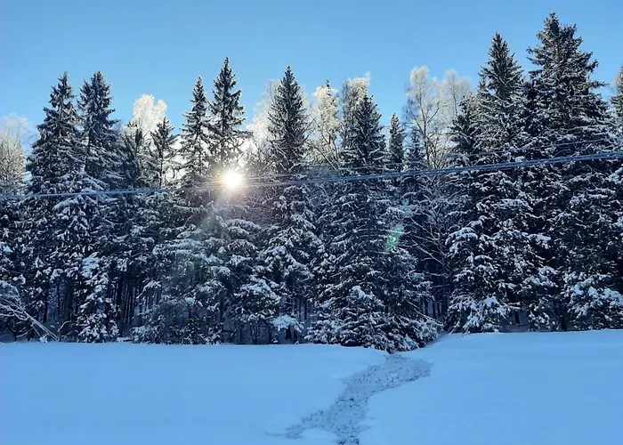 度假居 Rosemarie Vogtland Erlbach (Saxony)