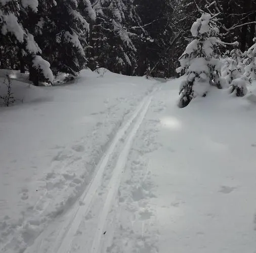 Rosemarie Vogtland Tatil Evi