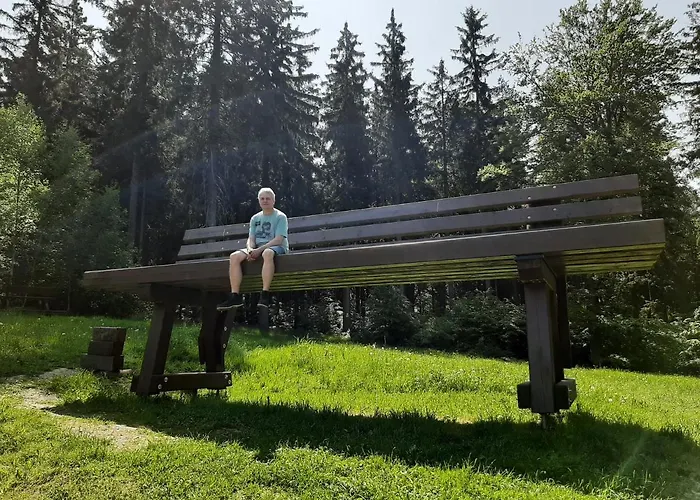 Rosemarie Vogtland 度假居 Erlbach (Saxony)