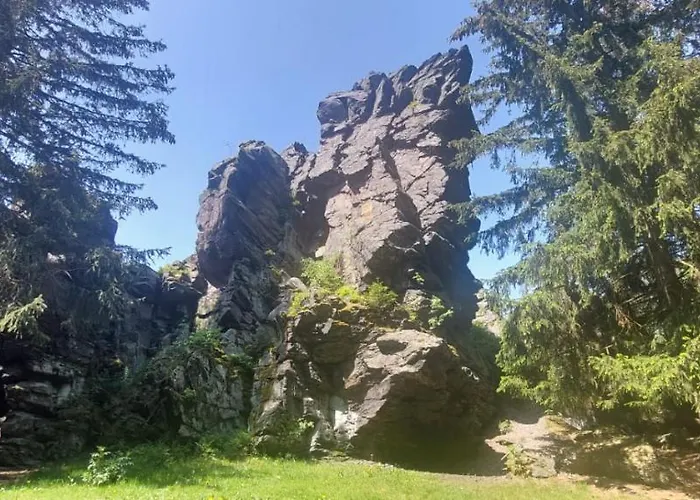 Rosemarie Vogtland Erlbach (Saxony)