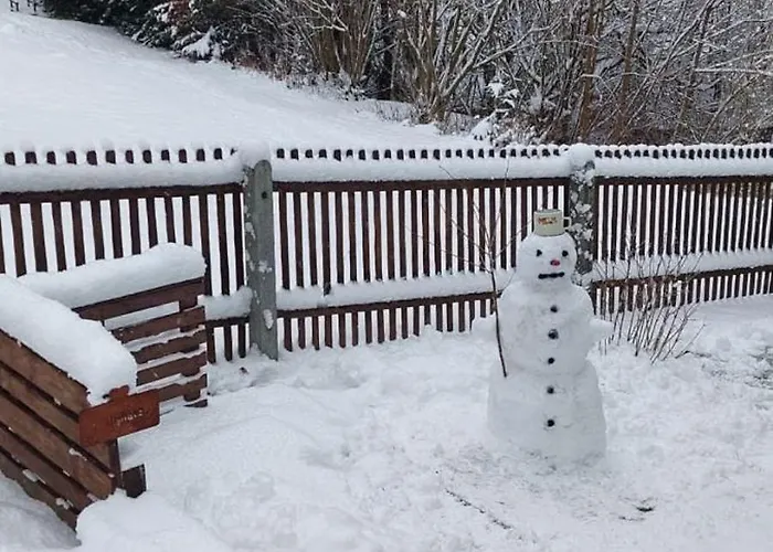 Rosemarie Vogtland Tatil Evi Erlbach (Saxony)