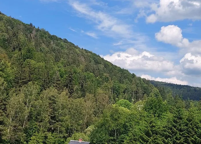 Tatil Evi Rosemarie Vogtland