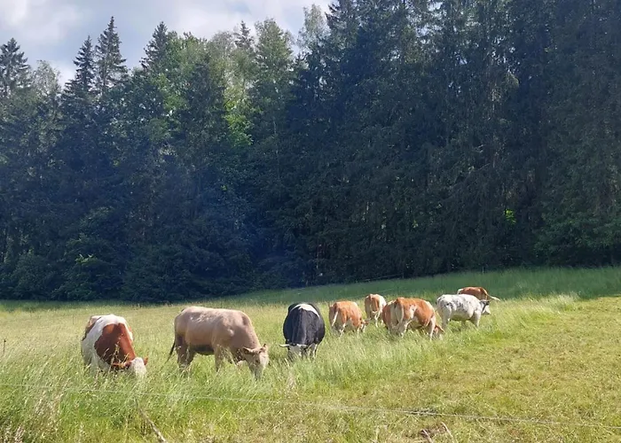 Rosemarie Vogtland Tatil Evi